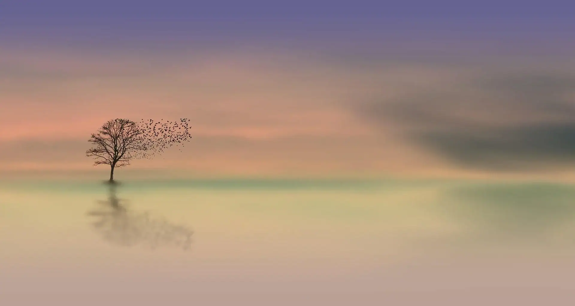 Silhouette d'un arbre solitaire se transformant en un vol d'oiseaux sur un fond brumeux aux couleurs pastel avec reflet sur l'eau.