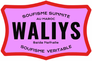 Logo de Waliys au Maroc : Soufisme Sunnite et Véritable, par Saida Nathalie.