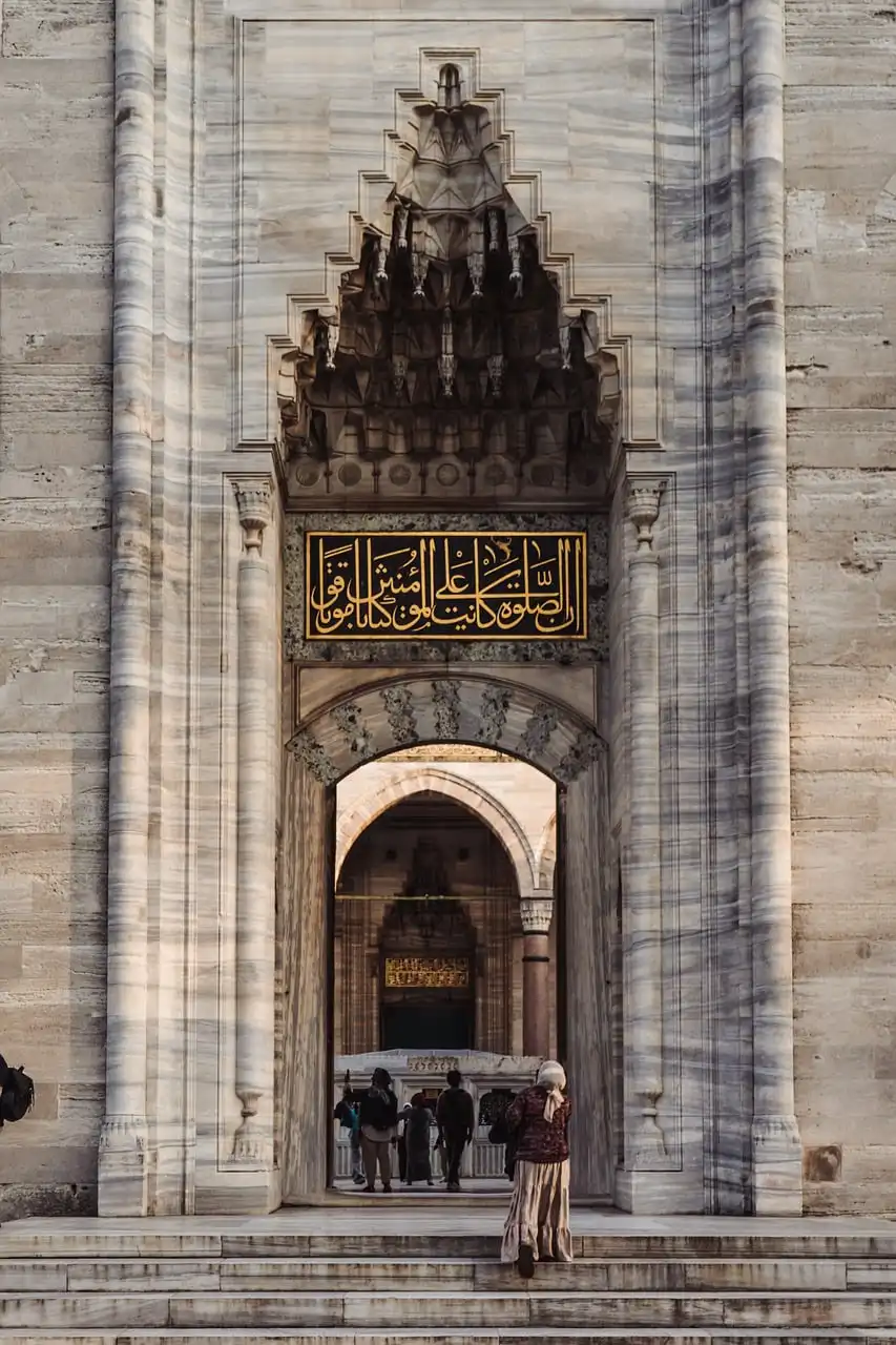 vue de la mosquée bleue sultan ahmed à istanbul à travers des fleurs printanières montrant ses minarets et ses coupoles sous un ciel clair
