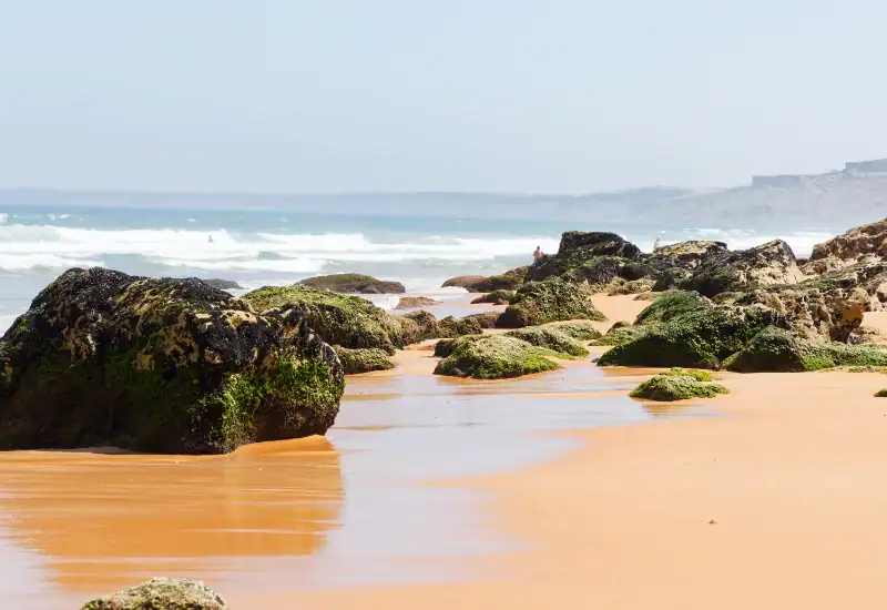 rochers couverts de mousse sur le sable doré de la plage lalla fatna au nord de safi maroc