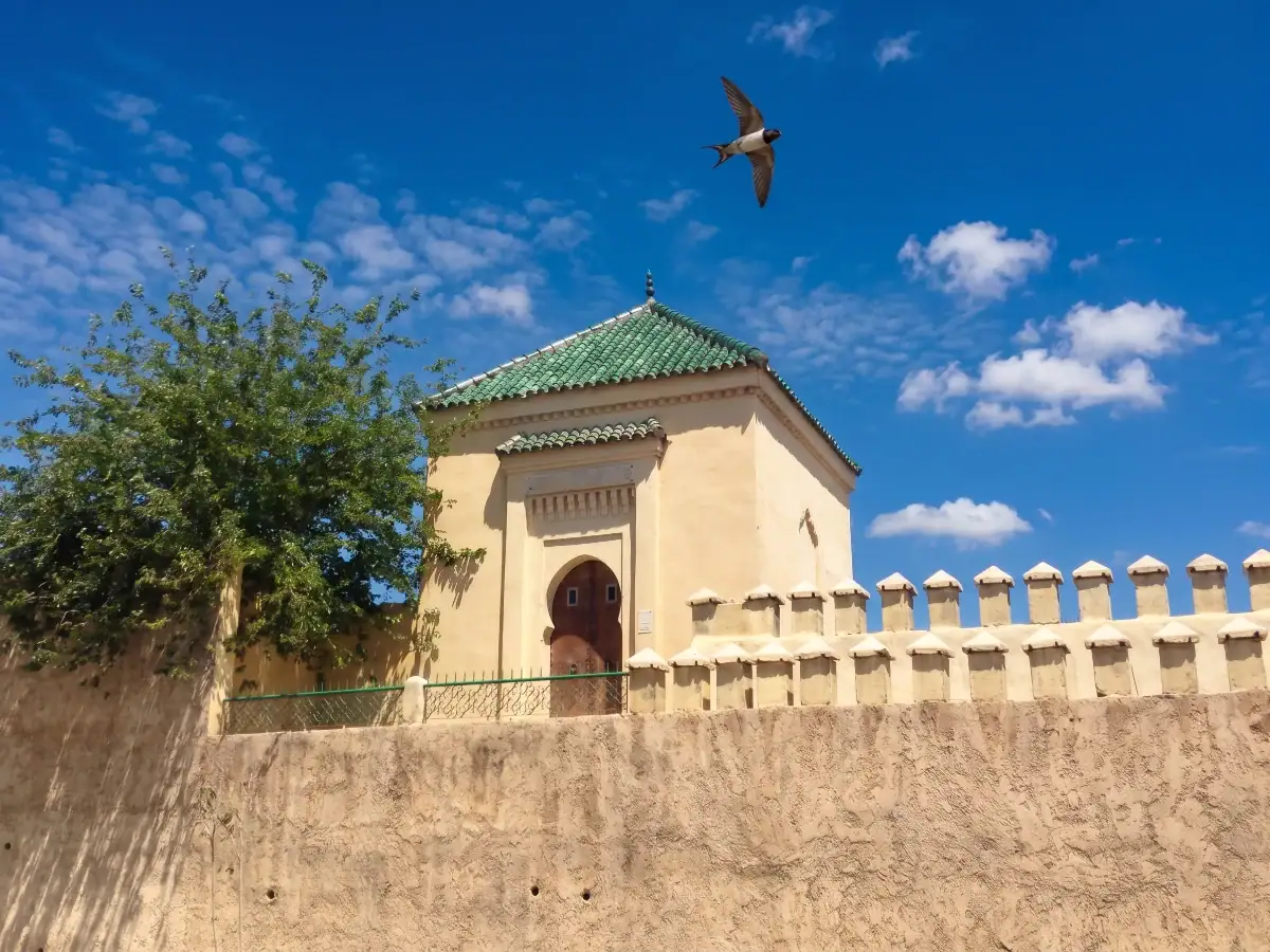 Mausolée de Lissan al-Din ibn al-Khatib avec son toit en tuiles vertes à Fès, survolé par un oiseau sous un ciel bleu.